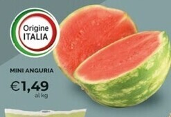 Mercatò Mini anguria offerta