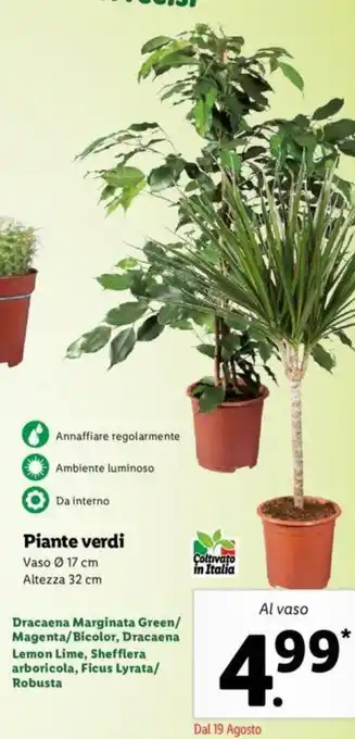 Pollice Verde Piante verdi