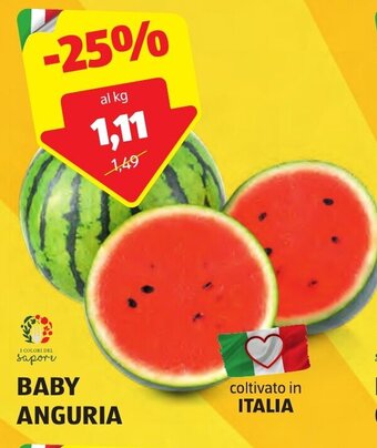 ALDI BABY ANGURIA offerta