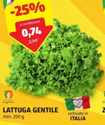 LATTUGA GENTILE min. 250 g
