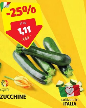 ALDI ZUCCHINE offerta