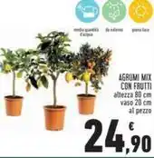 Famila Le farine magiche farina poco raffinata per pizza offerta