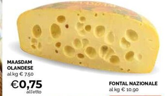 Mercatò MAASDAM OLANDESE offerta