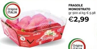 Mercatò FRAGOLE MONOSTRATO gr 500 offerta