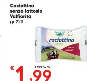 Despar Valfiorita Caciottina Senza Lattosio offerta