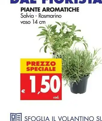 Piante Aromatiche Salvia - Rosmario Vaso