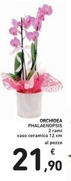 Spazio Conad Orchidea phalaenopsis offerta