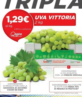 Coop Uva Vittoria offerta