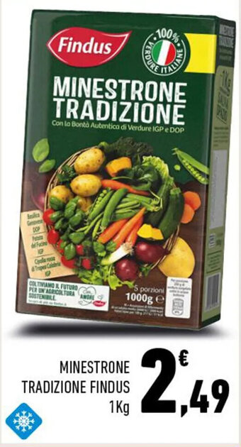 Conad MINESTRONE TRADIZIONE FINDUS 1Kg offerta