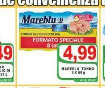 Gros Tonno offerta