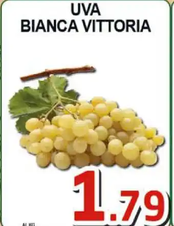 Sacoph Uva Bianca Vittoria offerta