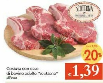 Galassia Costata Con Osso Di Bovino Adulto Scottona offerta