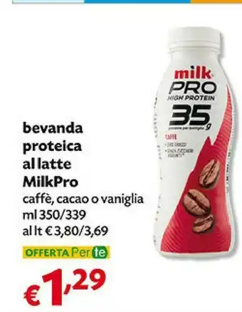 Pam Milk Protein - Bevanda Al Latte Cacao offerta