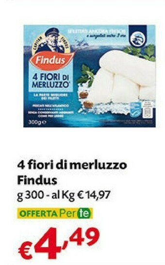 Pam Findus 4 Fiori Di Merluzzo 300 G(ml) offerta