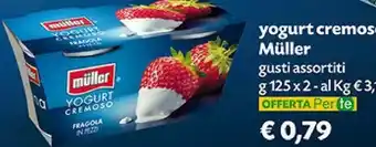 Pam Muller Yogurt Cremoso Fragola In Pezzi 250 G(ml) offerta