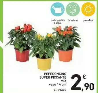Conad Peperoncino Super Piccante Mix offerta