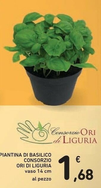 Conad Consorzio Ori Di Liguria Piantina Di Basilico offerta