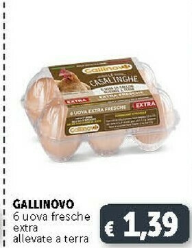 Deco Supermercati Gallinovo 6 Uova Fresche Extra Allevate A Terra offerta