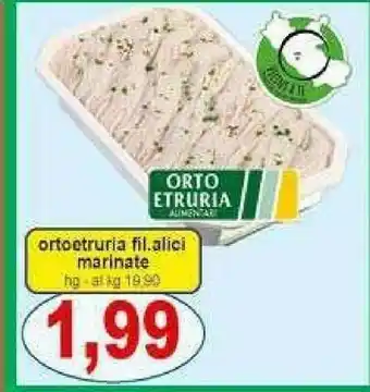 Gros Ortoetruria Alici Marinate offerta