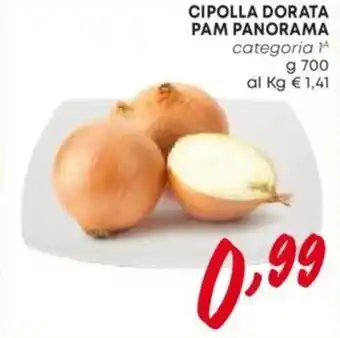 Panorama CIPOLLA DORATA PAM PANORAMA g 700 offerta