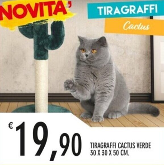 Moby Dick TIRAGRAFFI CACTUS VERDE 30 X 30 X 50 CM. offerta