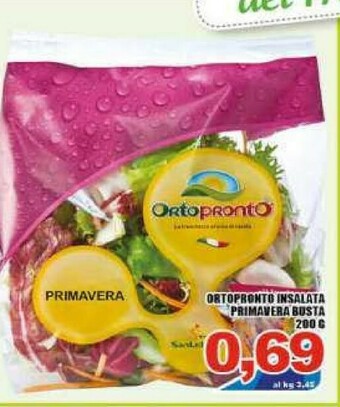 Gros Insalata offerta