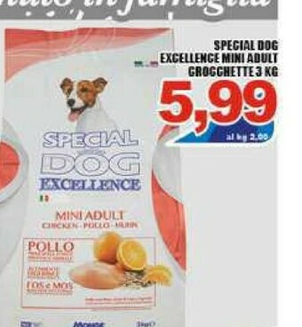 Gros Cibo per gatti offerta