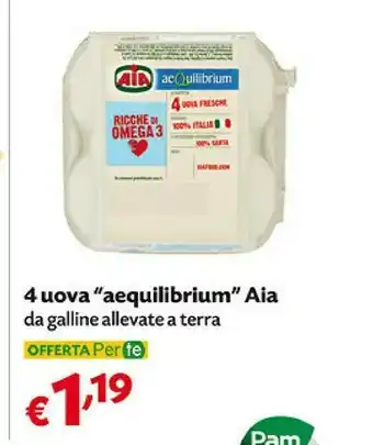 Pam Aia Aequilibrium Uova offerta