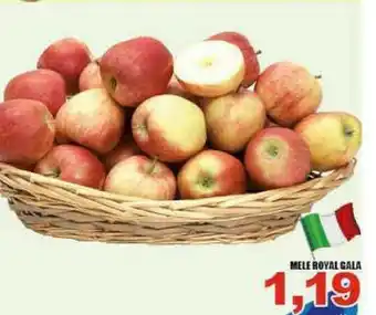 Sacoph Ruggiero Patate offerta