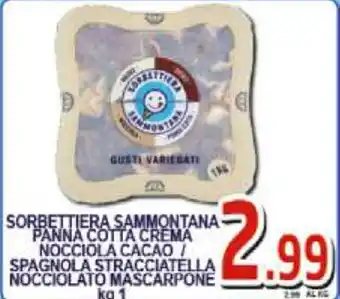 Sacoph Sorbettiera Sammontana Panna Cotta Crema Nocciola Cacao/Spagnola Stracciatella Nocciolato Mascarpone 1kg offerta