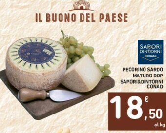 Conad PECORINO SARDO MATURO DOP SAPORI&DINTORNI CONAD offerta