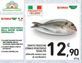 ORATE FRESCHE CONAD PERCORSO QUALITÀ