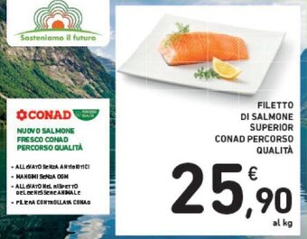 Conad FILETTO DI SALMONE SUPERIOR CONAD PERCORSO QUALITÀ offerta