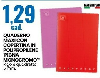 Eurospin Pigna Quaderno Maxi Con Copertina In Polipropilene Monocromo offerta