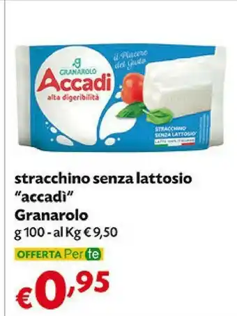 Pam Granarolo Stracchino Accadì Senza Lattosio 100 G(ml) offerta