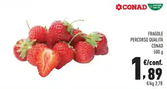 Conad Margherita FRAGOLE PERCORSO QUALITÀ CONAD 500 g offerta