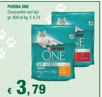 Crai Purina Croccantini One offerta