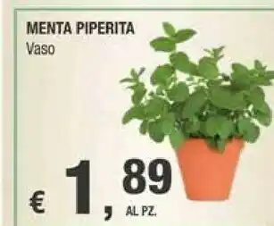 Menta Piperita