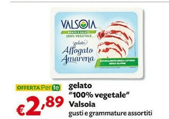 Pam Valsoia Gelato 100% Vegetale offerta