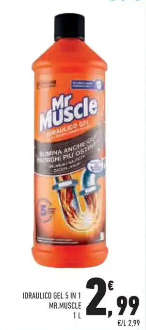 IDRAULICO GEL 5 IN 1 MR.MUSCLE 1 L