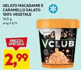 DPiù GELATO MACADAMIE E CARAMELLO SALATO 100% VEGETALE 340 g offerta