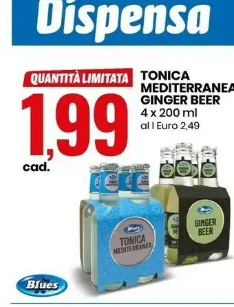 Eurospin Ginger Beer Tonica Mediterranea offerta