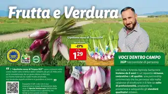 Lidl Cipollotto rosso di Tropea IGP offerta