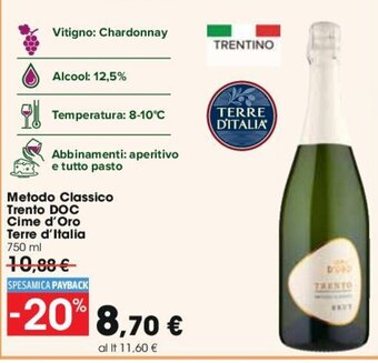 Carrefour Metodo Classico Trento DOC Cime d'Oro Terre d'Italia 750 ml offerta