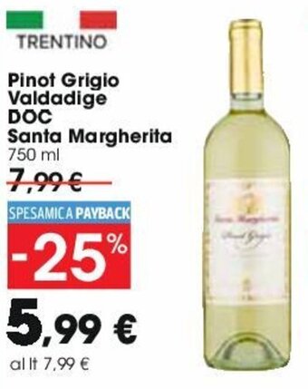 Carrefour Pinot Grigio Valdadige DOC Santa Margherita 750 ml offerta