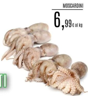 MOSCARDINI