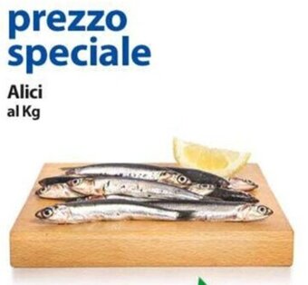 Extra Supermercati Alici al Kg offerta