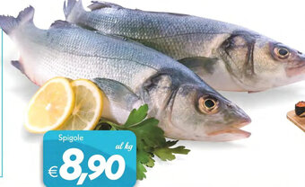 Iper Super Conveniente Spigole offerta