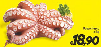 Iper Super Conveniente Polpo fresco al kg offerta