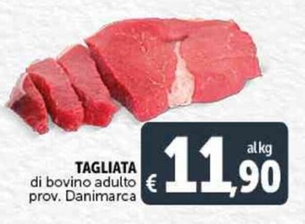 Deco Supermercati TAGLIATA di bovino adulto offerta